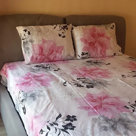 Plamena بوموري